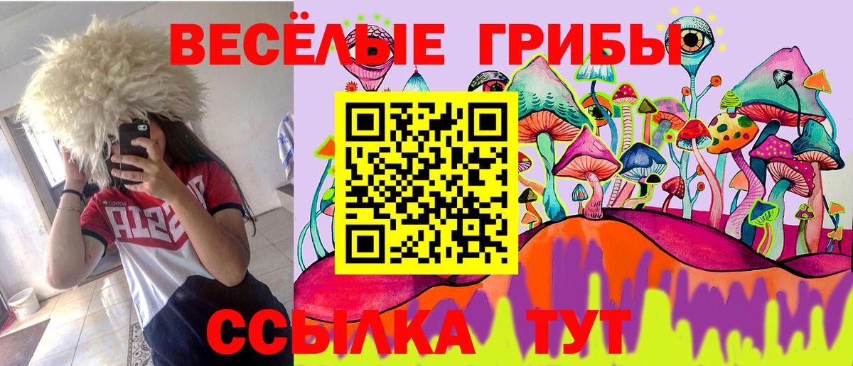 Электрогорск  Псилоцибиновые грибы Psilocybine cubensis  Вход с VPN 