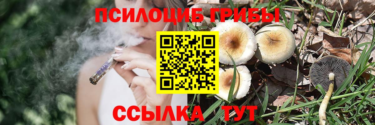 Галлюциногенные грибы прущие грибы Электрогорск